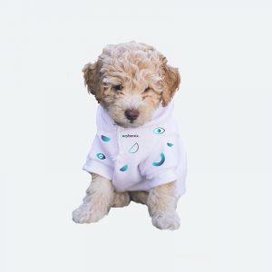 Hoodie for Your Dog